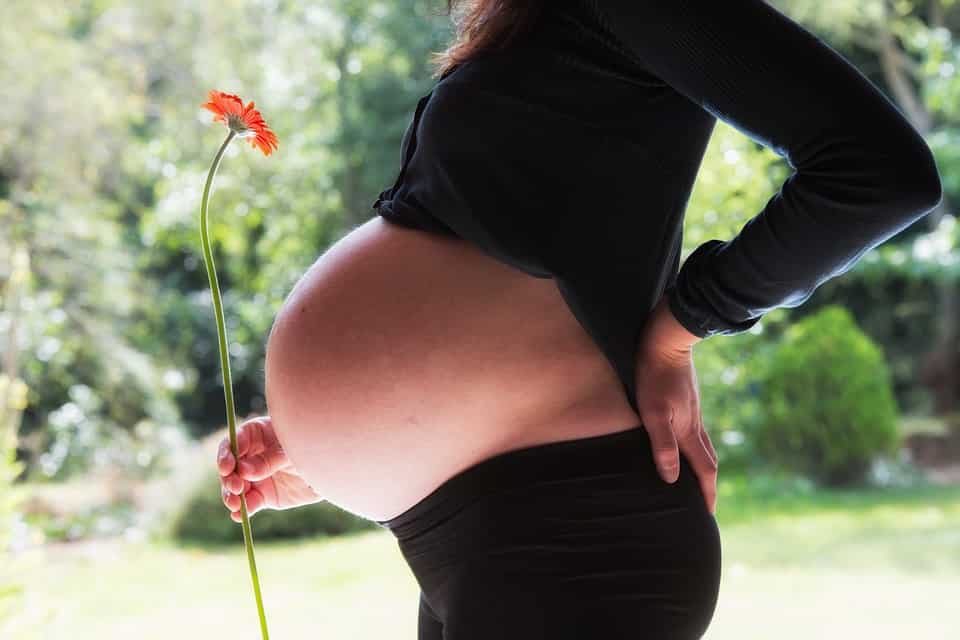 Maternity insurance: Is mother and baby secured?