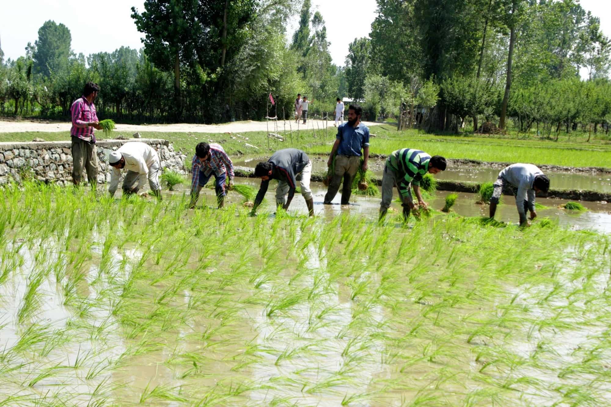 Maharashtra's farm loan waiver to worsen its fiscal deficit 
