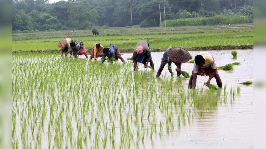 Maharashtra panel's 1st meet: Farmer leaders seek widening of criteria for Rs 10,000 initial help