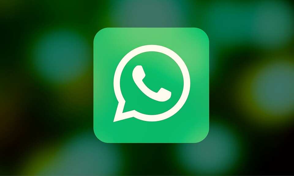 Now share any file you want on WhatsApp