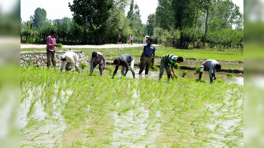 Panel demands accountability for delay over farm loan waivers