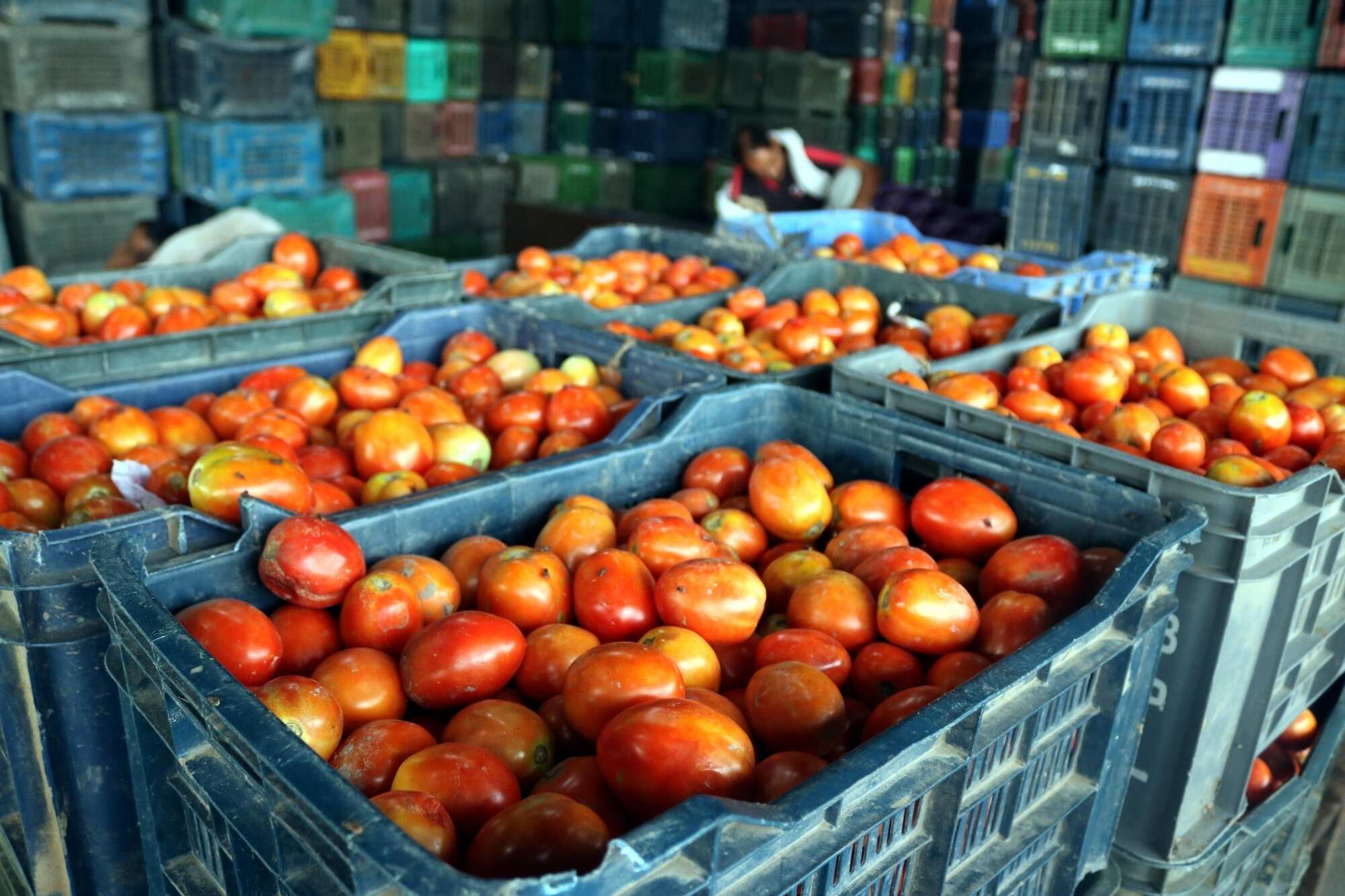 Onion, tomato prices on the rise but online grocers sell them for cheaper