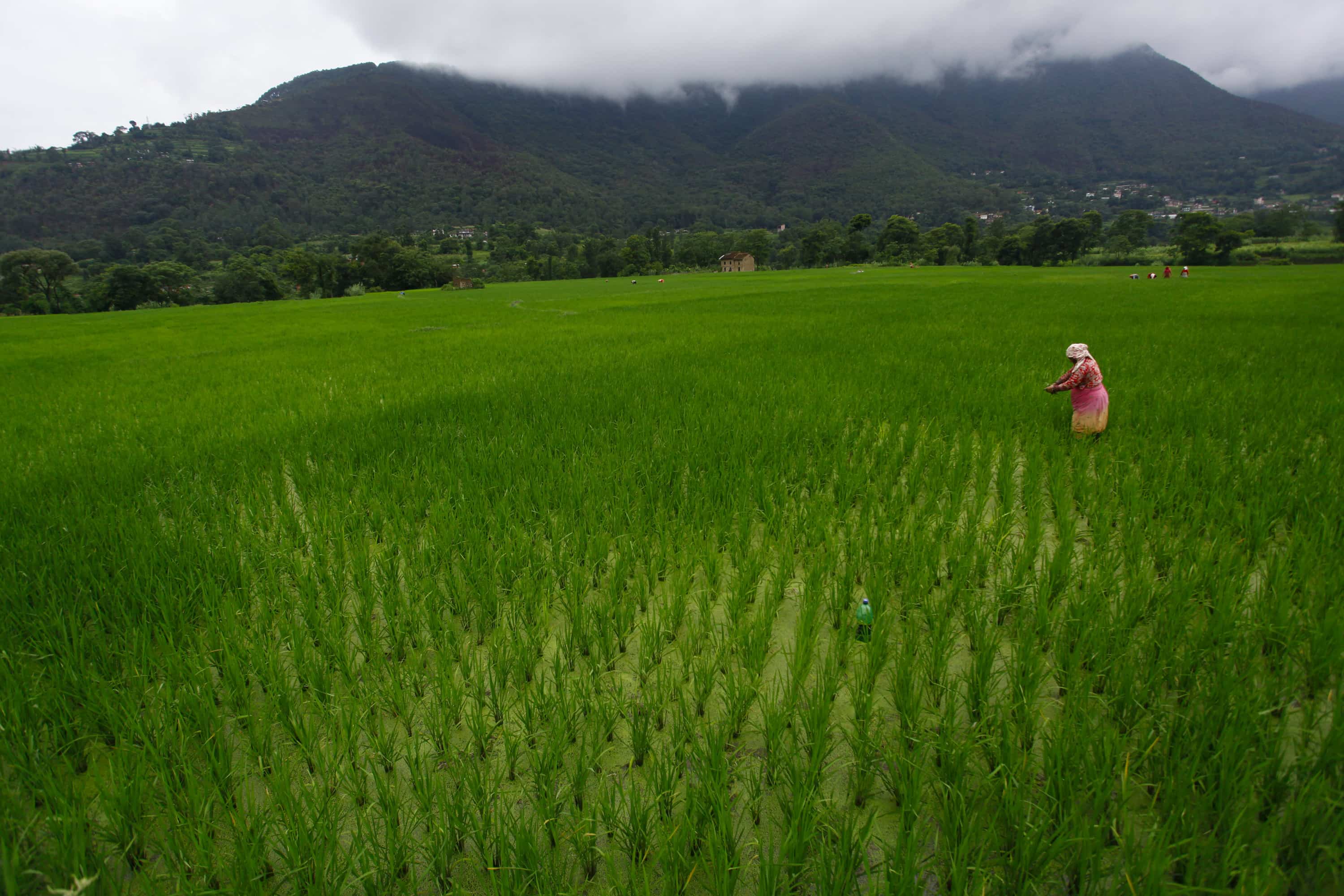 Gadkari announces Rs 6,000 crore World Bank-backed irrigation scheme