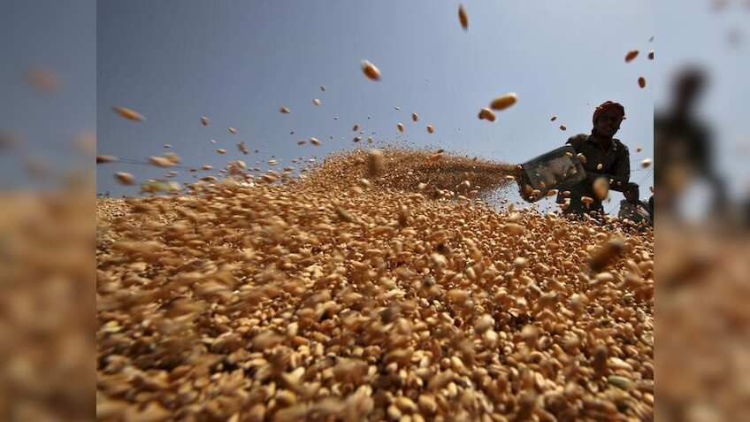 India's wheat, pulses output seen rising, to curb imports