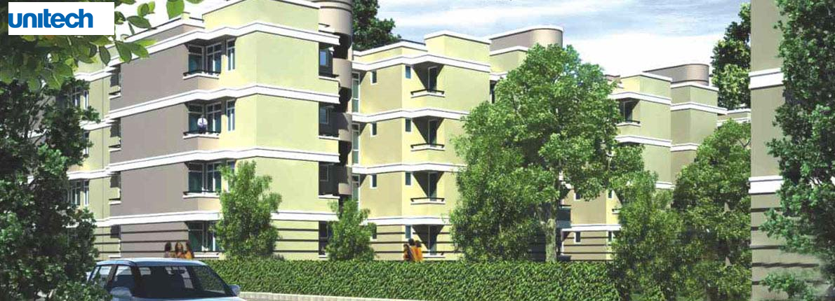 NCLT order disturbing, should have taken our leave,