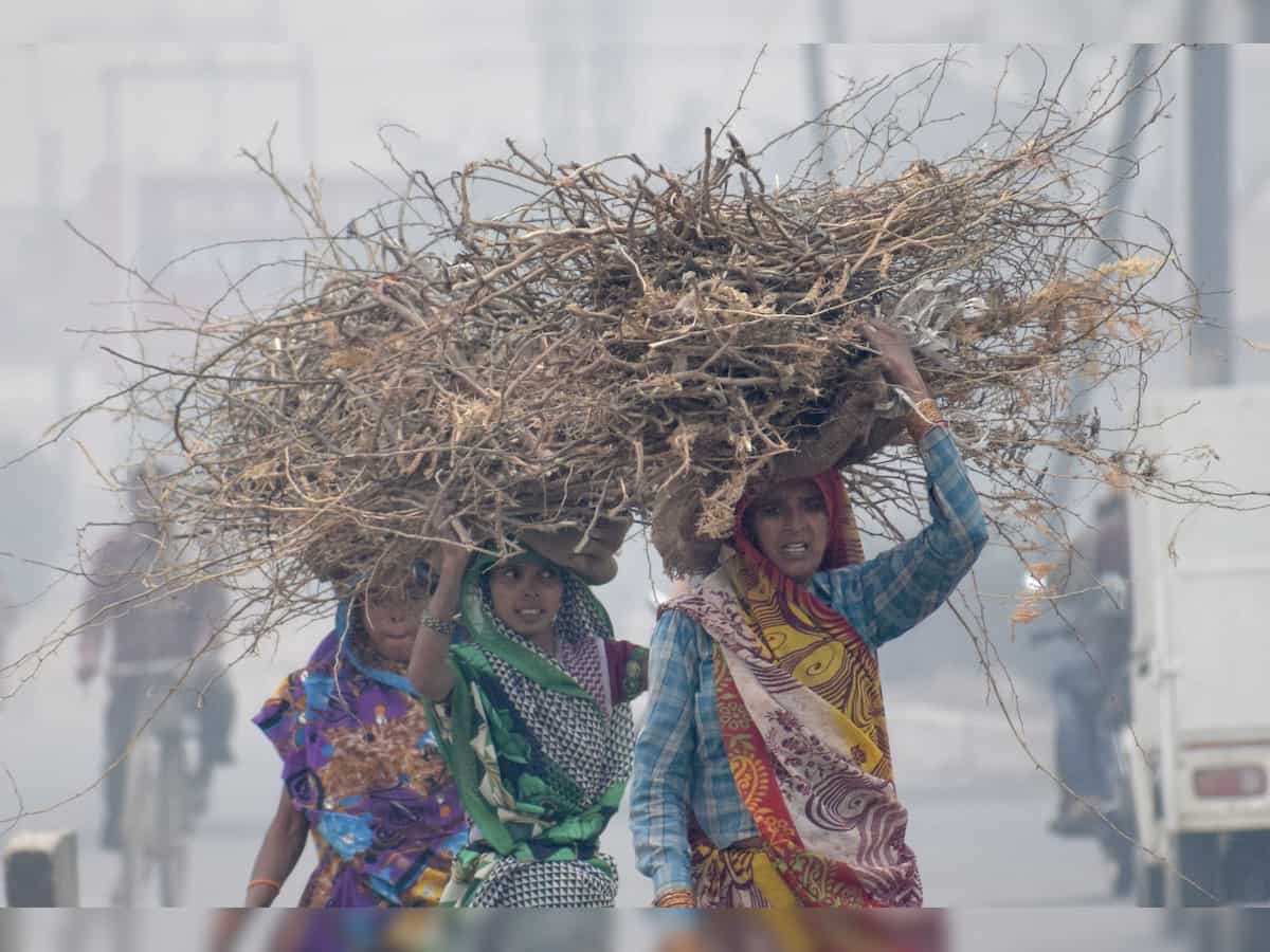 Female workers decline, comprise only one fourth of