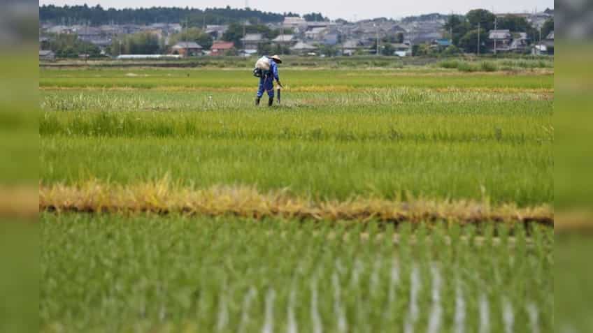 Centre moots new price support scheme to fix rural distress