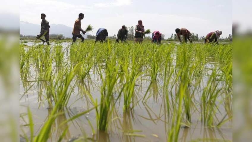 Rural India stares at Union Budget