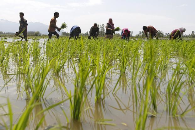 Rural India stares at Union Budget
