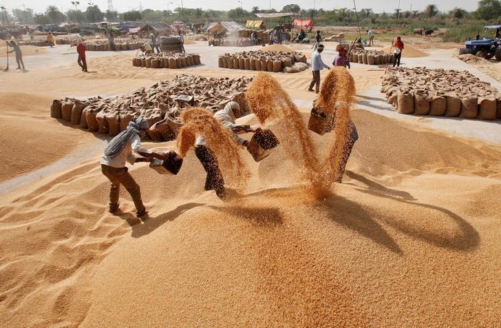 Wholesale grains market remains weak on subdued demand