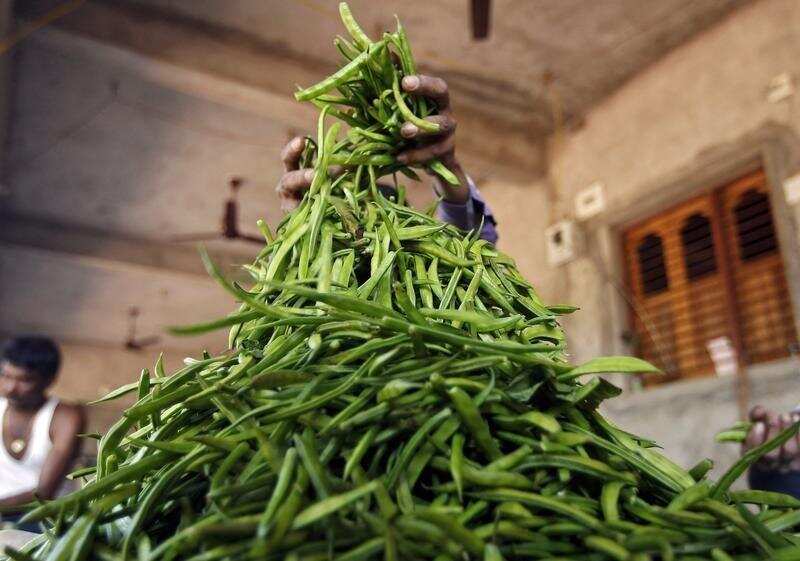 FM launches options trading in guarseed; says will benefit farmers
