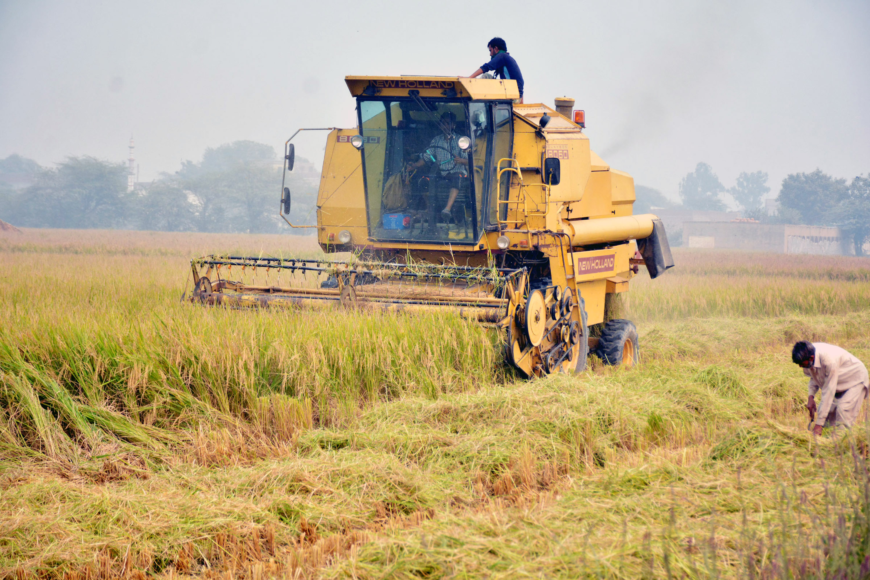 Agri varsity plans incubation centre to promote startups