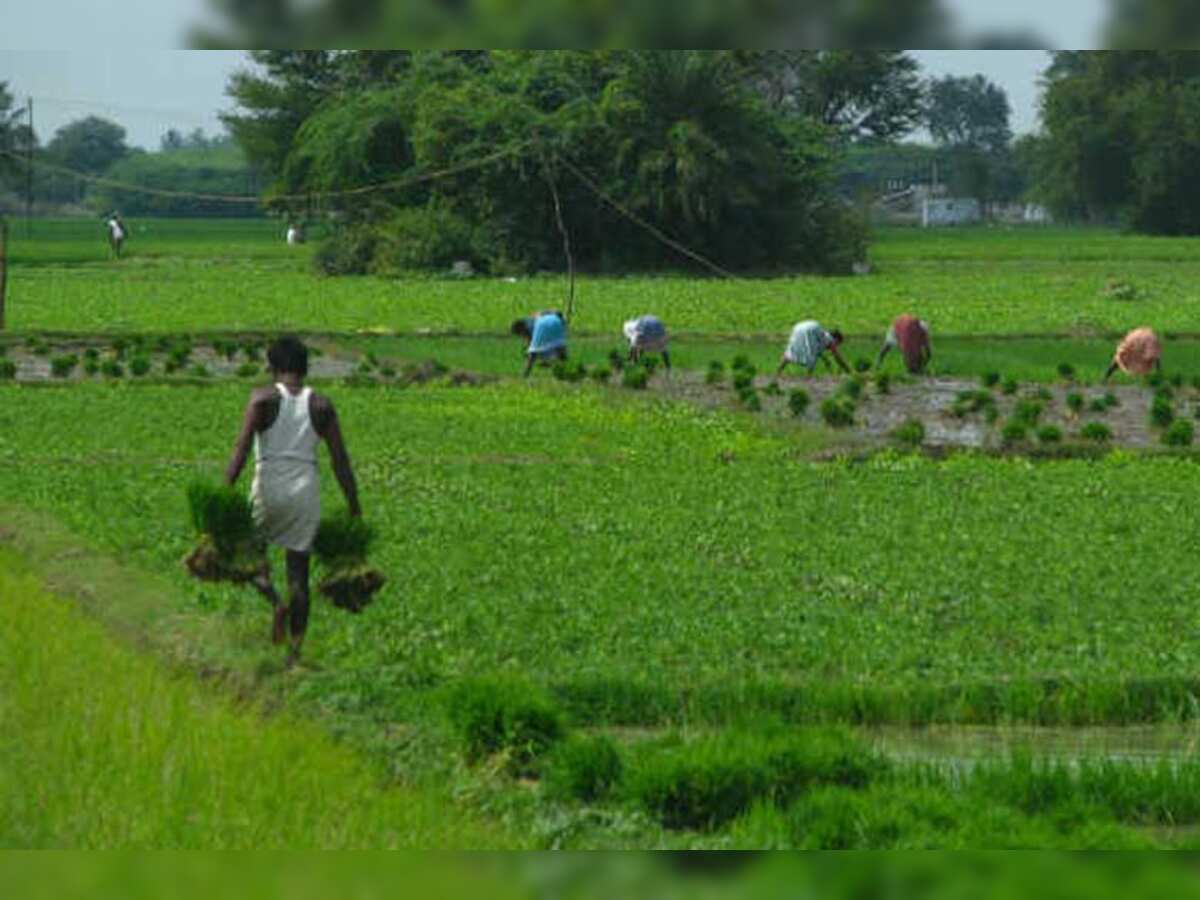  R&amp;D needed to sustain agricultural productivity growth,