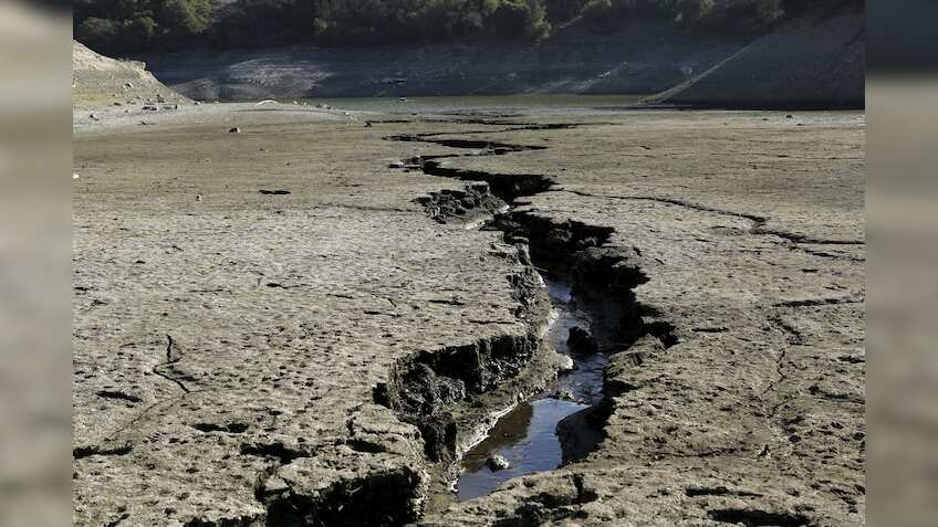 Climate change could reduce agri incomes by 25%, says survey