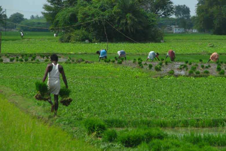 Budget 2018: Farm output, farmers' income get priority