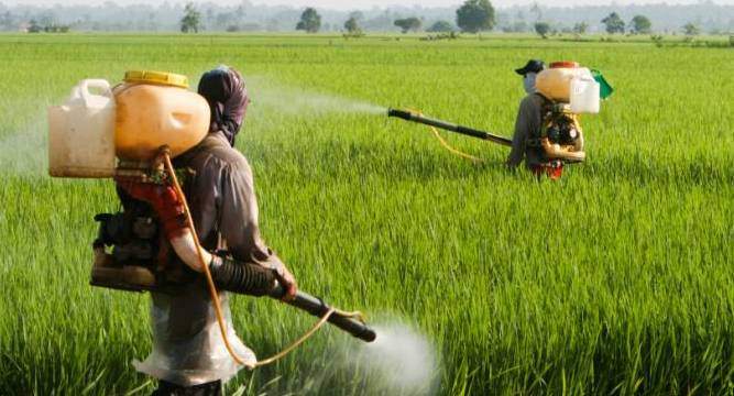 Fiscal slippage, LTCG, rural push main focus of Budget 2018