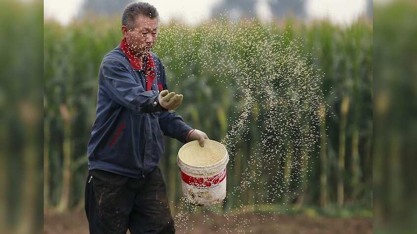 China seeks to rejuvenate countryside with 2018 rural policy