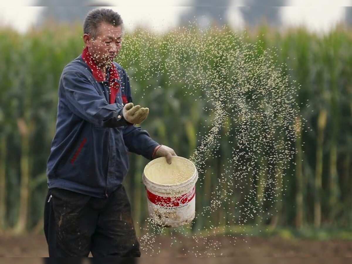 China seeks to rejuvenate countryside with 2018 rural