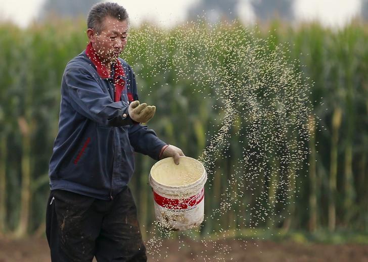 China seeks to rejuvenate countryside with 2018 rural