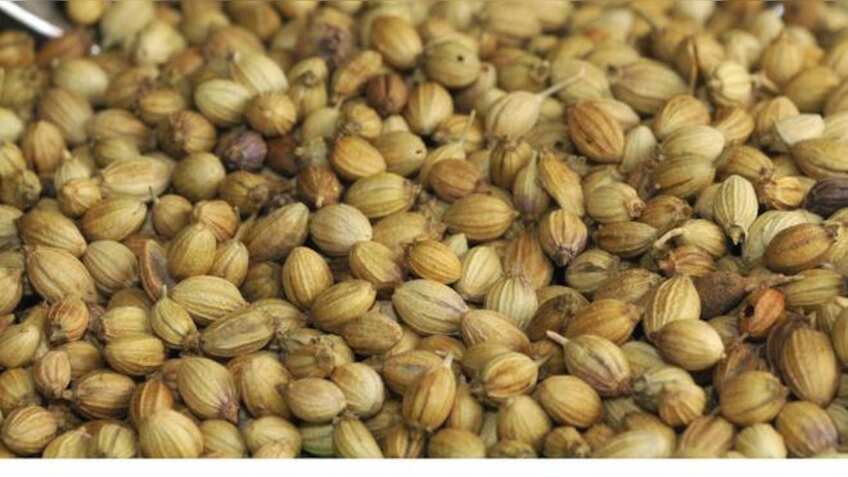 Coriander rises 2.17% on increased buying