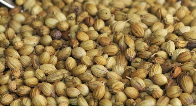 Coriander rises 2.17% on increased buying