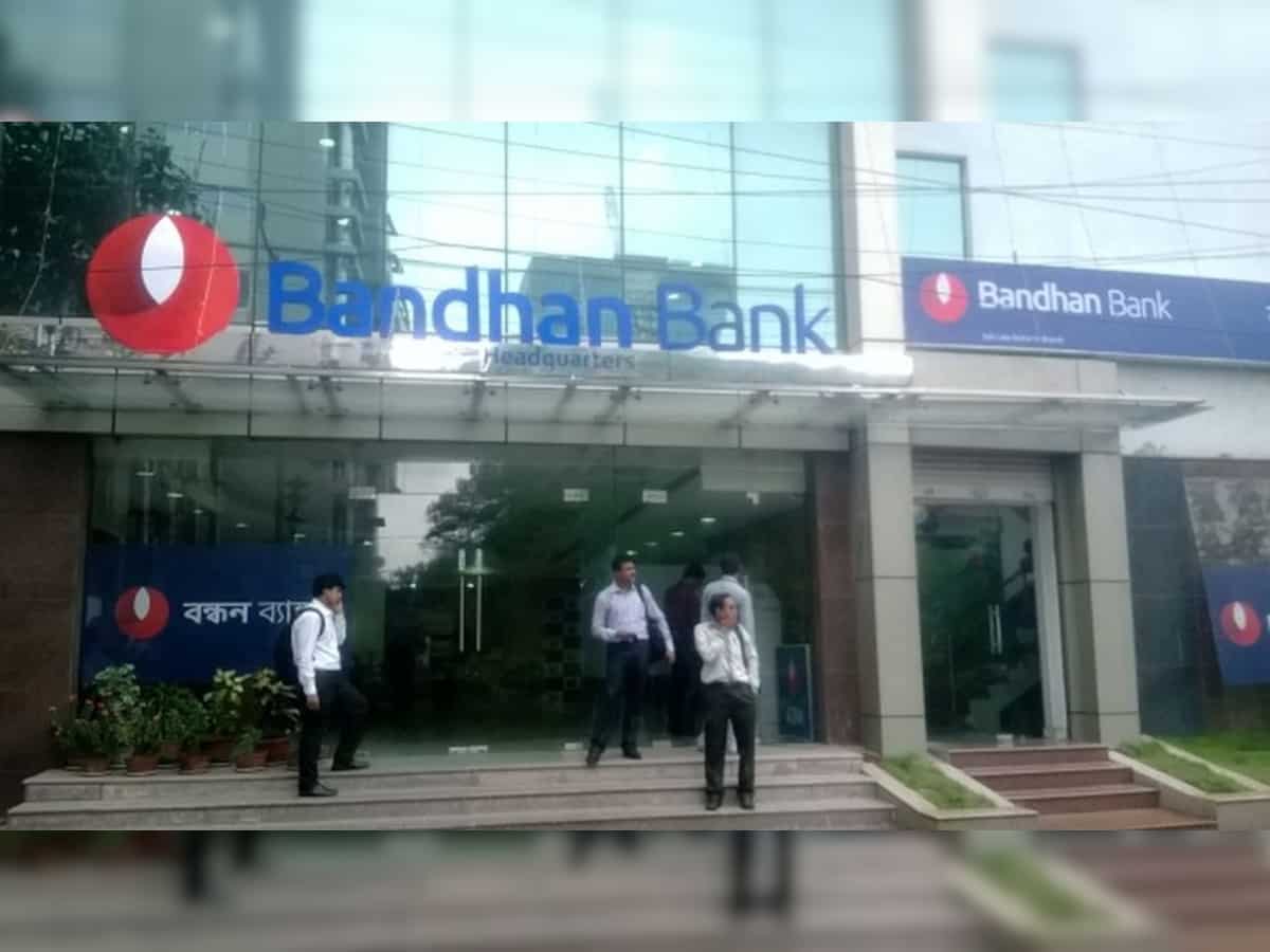 Bandhan Bank IPO: Biggest ever bank issue launched;