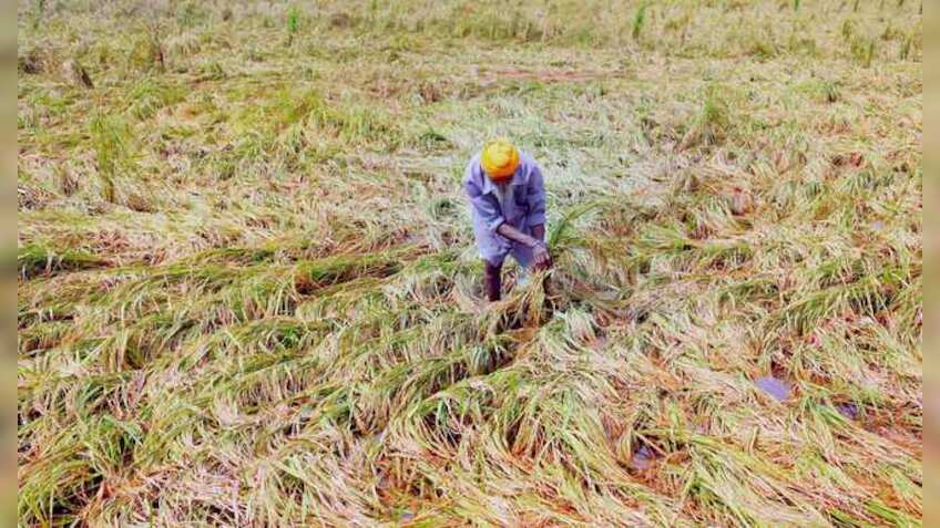 Crop insurance: Centre asks state governments to use technology for timely payment of claims 