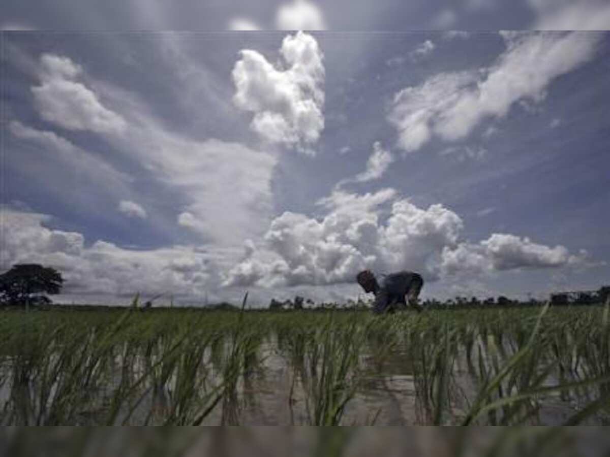 Monsoon rains in India seen at 100% of