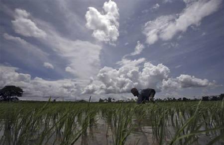 Monsoon rains in India seen at 100% of