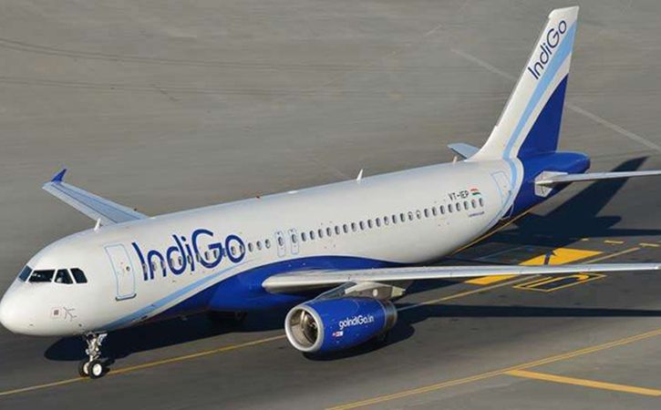 IndiGo rules out bidding for Air India; here's why