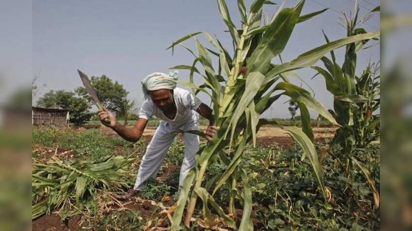 India needs robust exports, investment growth to achieve 8% growth, says ADB economist