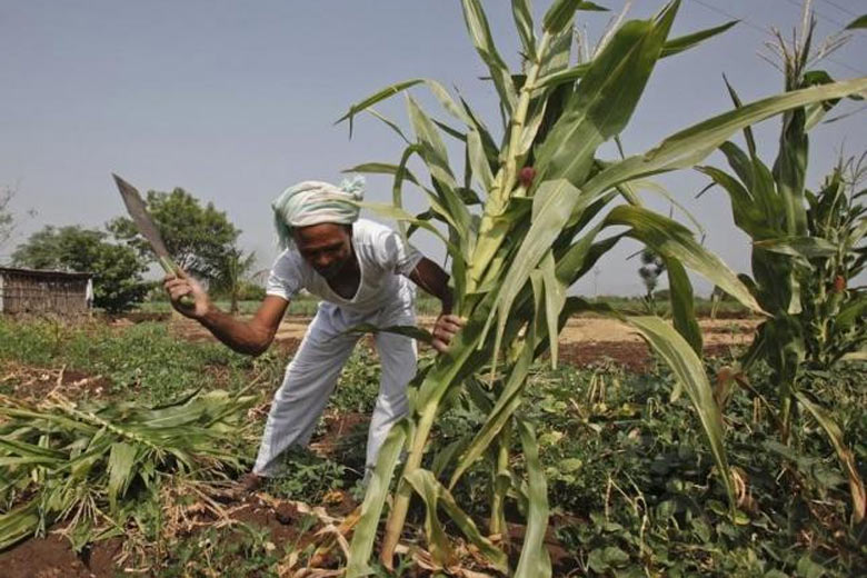 India needs robust exports, investment growth to achieve 8% growth, says ADB economist