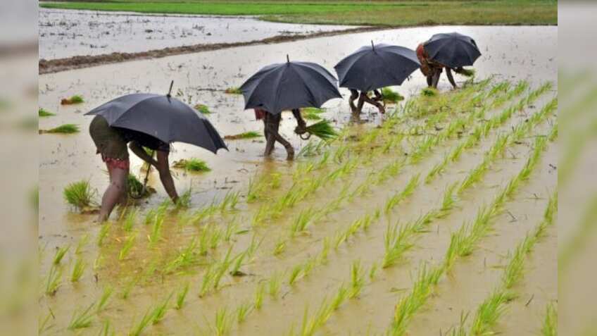 Monsoon impact on stock markets: Here is Sensex, Nifty may react