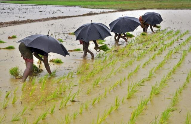 Monsoon impact on stock markets: Here is Sensex, Nifty may react