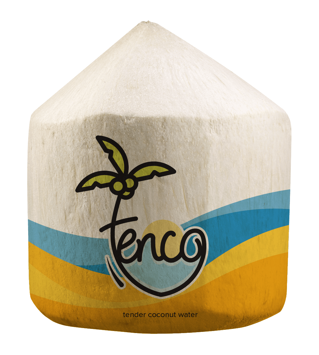 From Accenture to Tender Coconut, the story of Tenco Foods