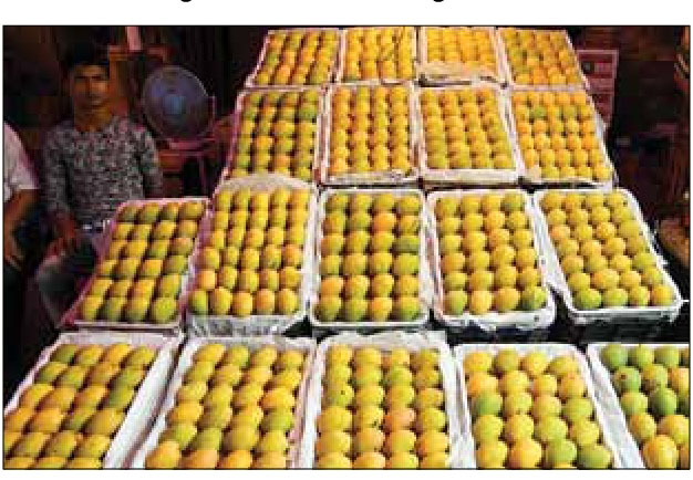 Akshaya Tritiya spirits dampened as mango prices soar on low supply
