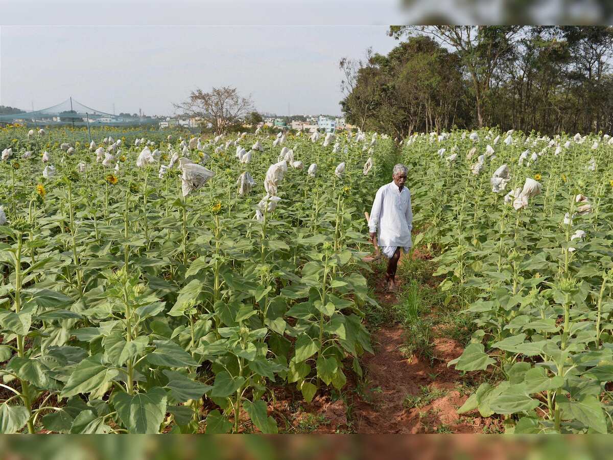 Rs 12,000 cr farmers&#039; financial assistance scheme from