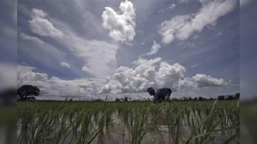 IMD forecast boost: Monsoon in India yet to arrive, but rain linked stocks skyrocket