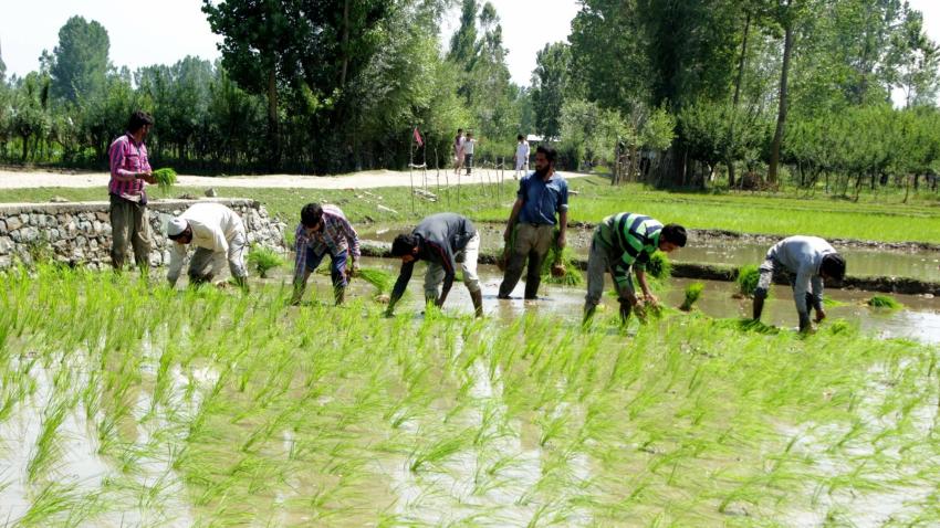 Doubling farmers income by 2022 turns into big challenge; Agri-export data of 5 years shows how much
