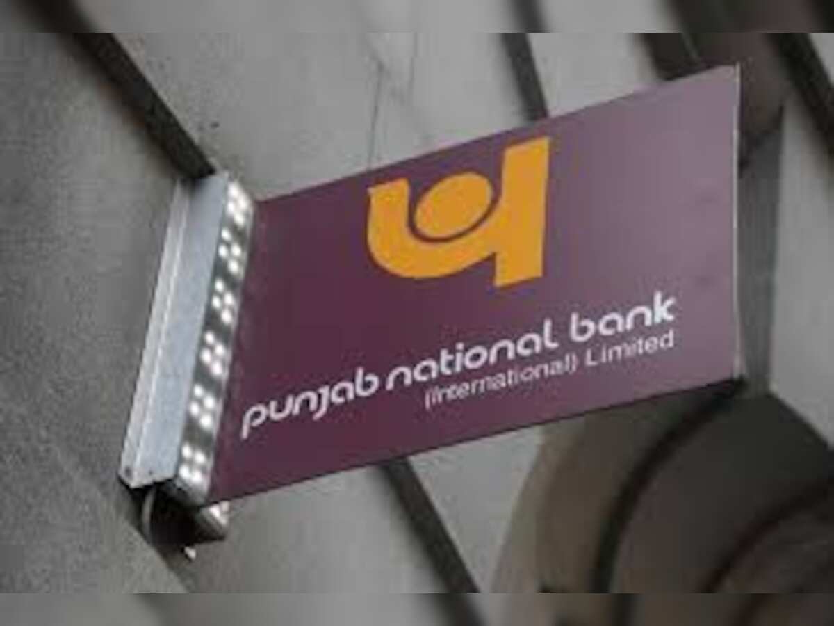 PNB aims to grow biz by around 11%