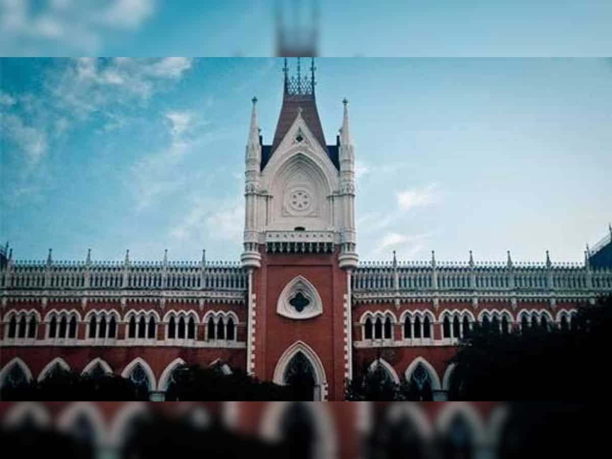 West Bengal panchayat election 2018: HC asks SEC