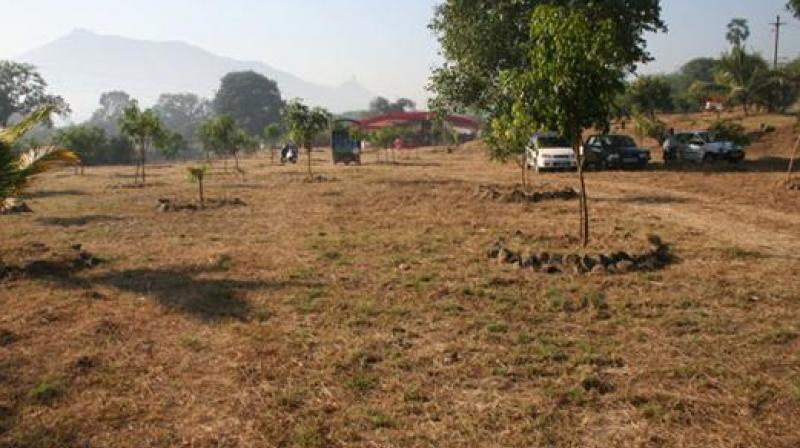 Property at 50% discount? Gujarat set to cut prices; see who can benefit