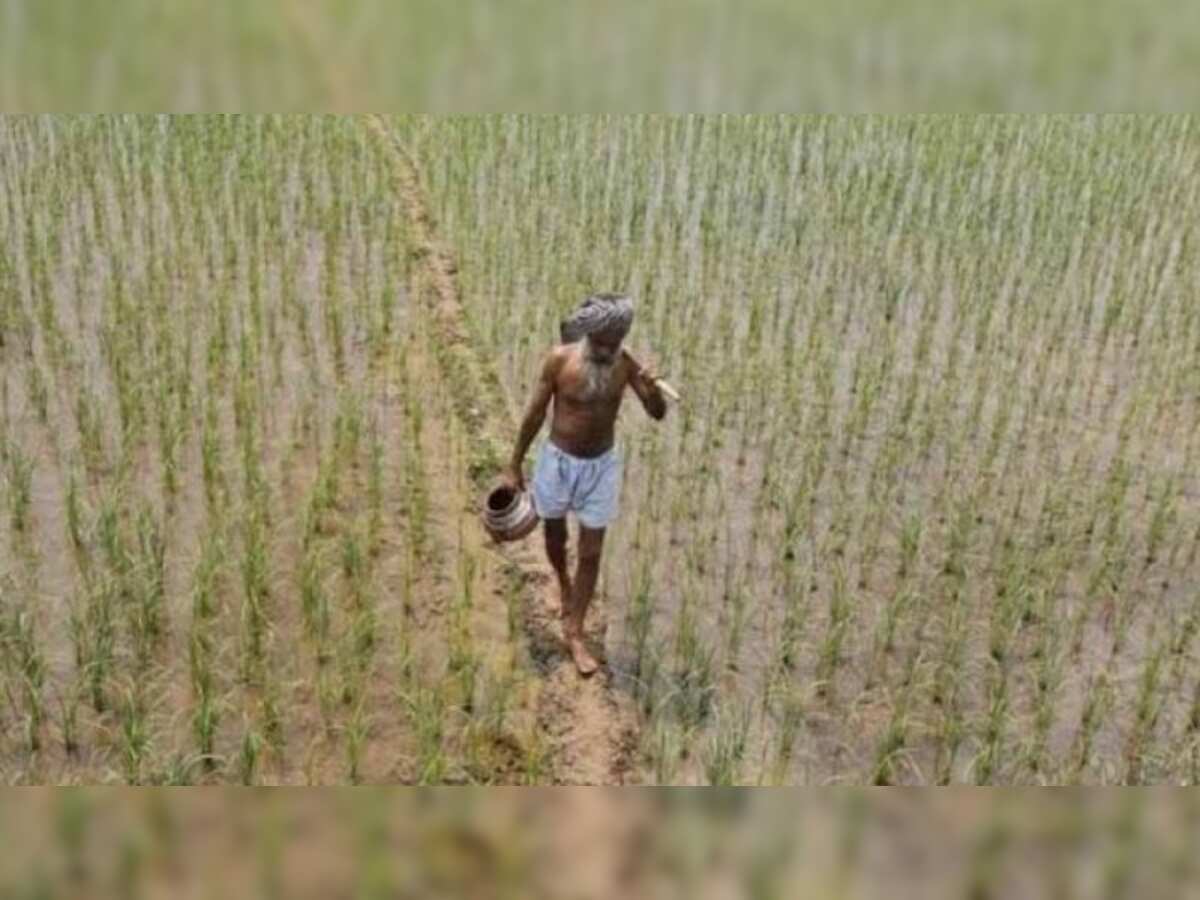 This state just approved Rs 5 lakh insurance