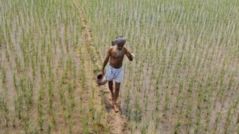 This state just approved Rs 5 lakh insurance cover to farmers