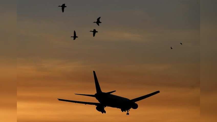 Airlines adjusting hedges, fares, capacity and fleet as oil price jumps