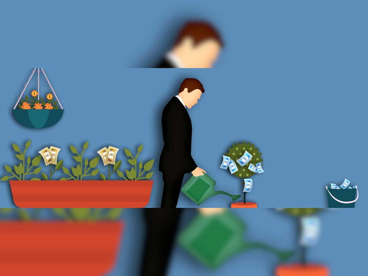 How to become rich quick in India: Turn