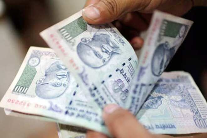 Government hopes to stem rupee fall with forex 'firepower'