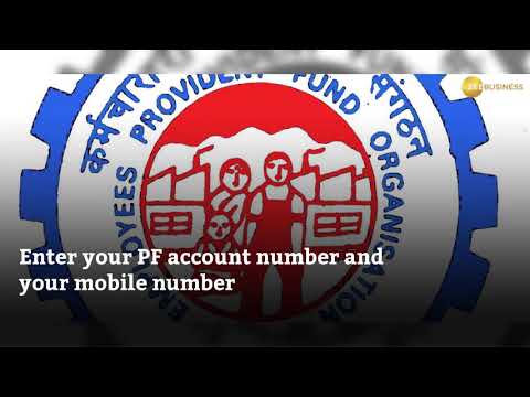 How to check EPF balance online in India
