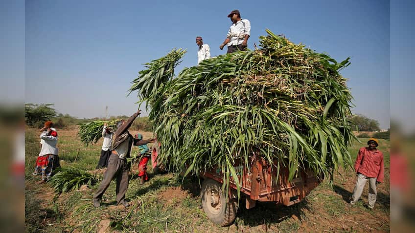 Doubling farmers income: CM panel mulls ways to align works under MGNREGA