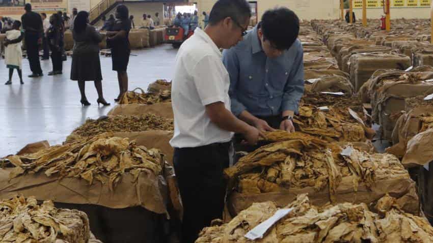 tobacco export from india India's tobacco exports rise 7% to Rs 1,447.80 cr in Apr-Jun